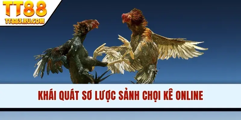 Khái quát sơ lược sảnh chọi kê online