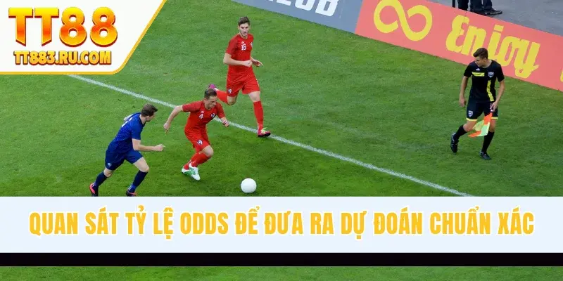 Quan sát tỷ lệ odds để đưa ra dự đoán chuẩn xác