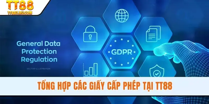 Tổng hợp các giấy cấp phép tại TT88